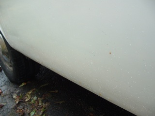 0603190041.JPG (826432 bytes)